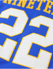Sigma Gamma Rho Baseball Jersey Blue