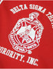 Delta Sigma Theta ΔΣΘ Baseball Jersey Red