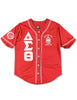 Delta Sigma Theta ΔΣΘ Baseball Jersey Red
