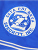 Zeta Phi Beta Baseball Jersey Blue