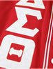 Delta Sigma Theta ΔΣΘ Baseball Jersey Red