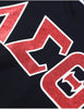 Delta Sigma Theta ΔΣΘ V Neck Glitter Tee Black
