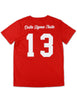 Delta Sigma Theta ΔΣΘ Glitter Dri Fit Tee Red