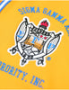 Sigma Gamma Rho Baseball Jersey Gold